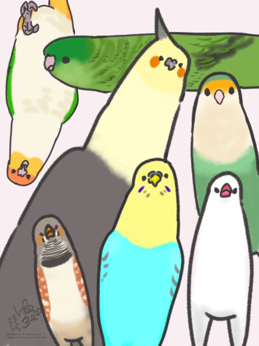 tarotamatensu's tweet photo. 鳥は意外と伸びる🐥
#鳥好きさんと繋がりたい https://t.co/M511YvWnhJ