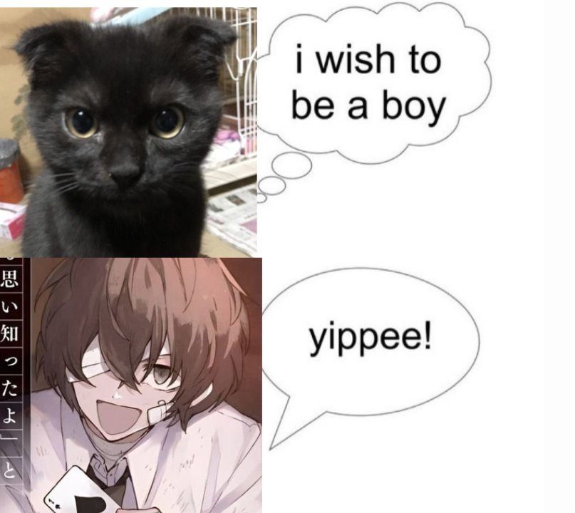 Riri 🐾 #1 dazai lover (@dazailips) on Twitter photo 