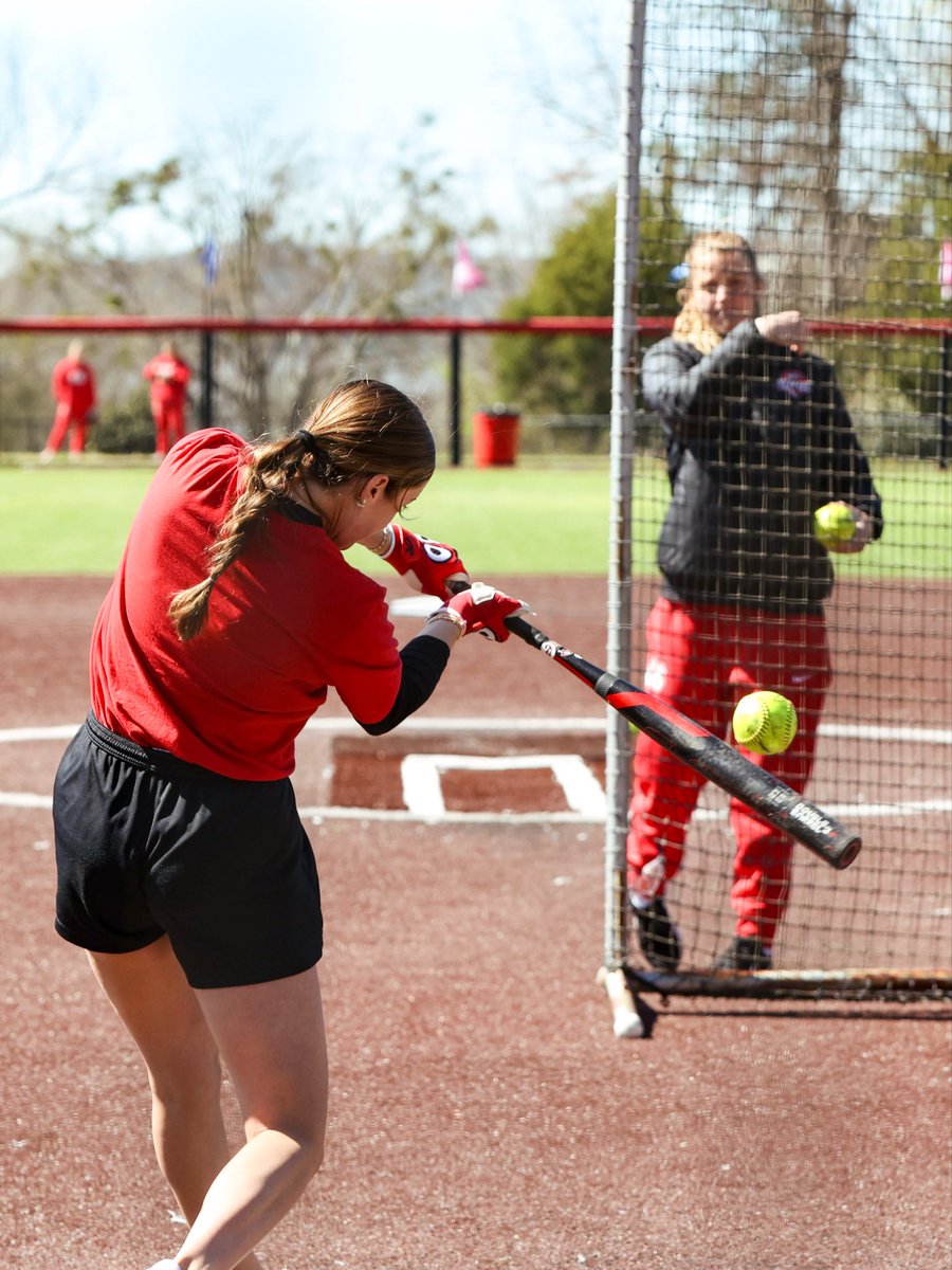 WKU Softball tweet media