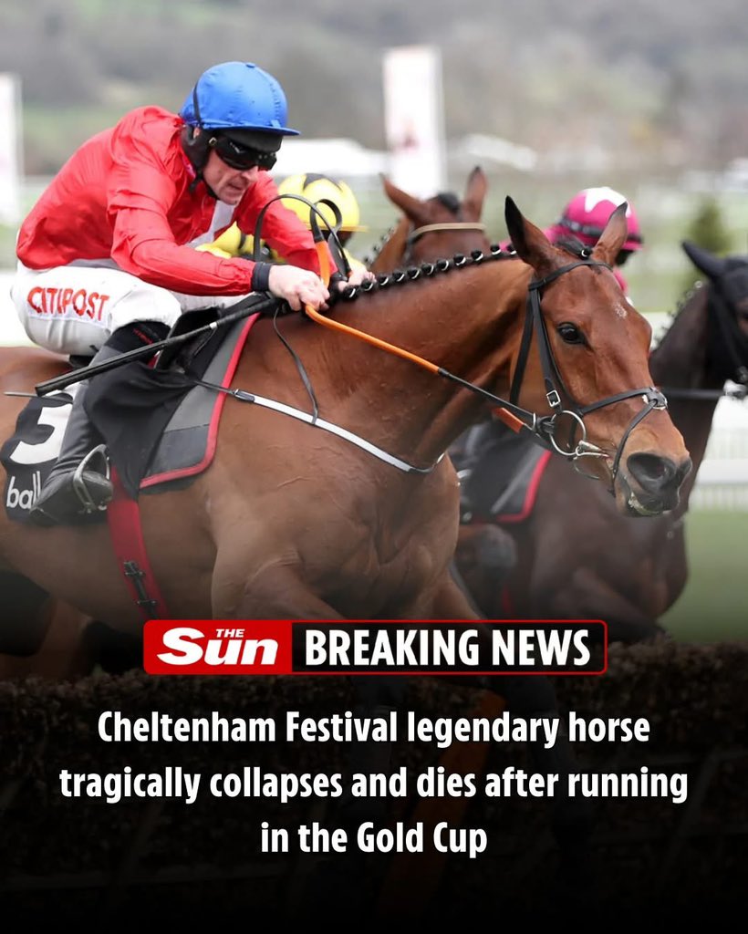 dominic dyer tweet media