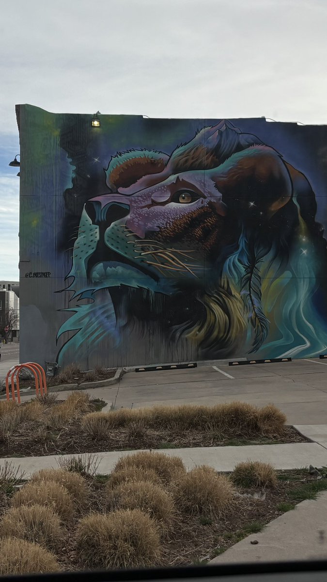 ℳ𝑜🦩 tweet media