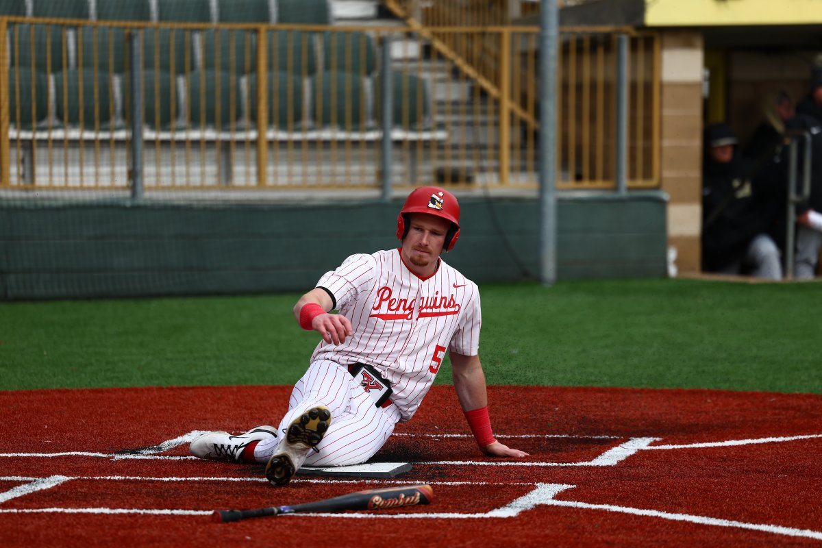 YSU Baseball 🐧 tweet media