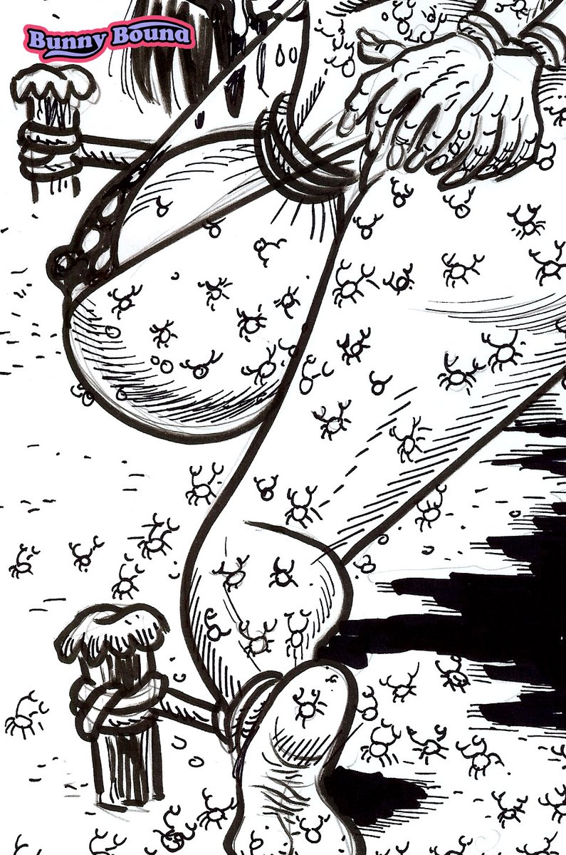 BunnyBound tweet media