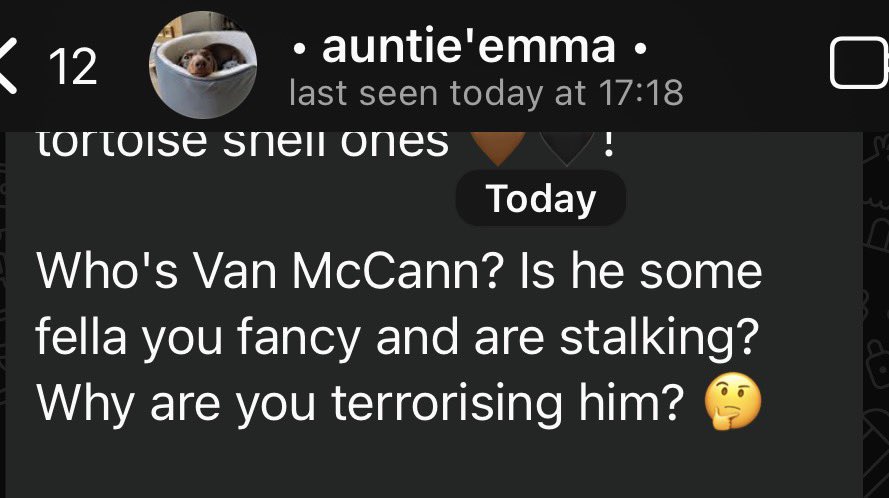 grace 🐊🇾🇪 tweet media