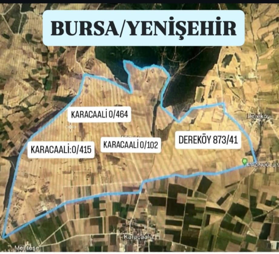 Yenişehir Çevre Platformu tweet media