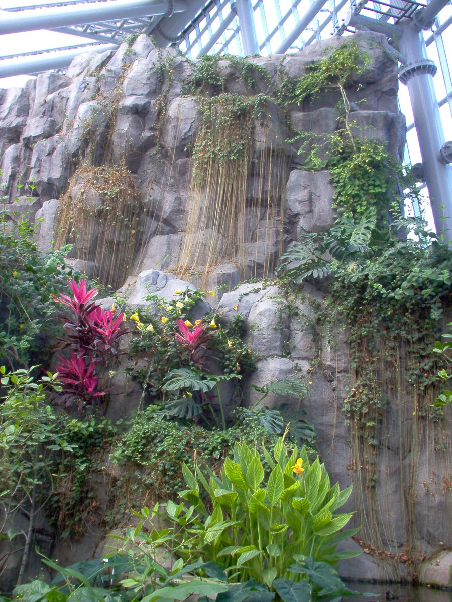 โฉโห๐๐ขึดึดเปห. tweet media