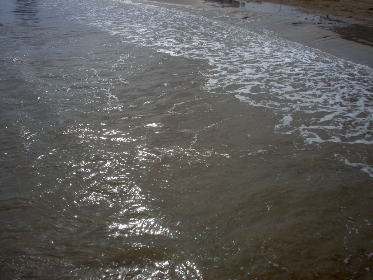 โฉโห๐๐ขึดึดเปห. tweet media