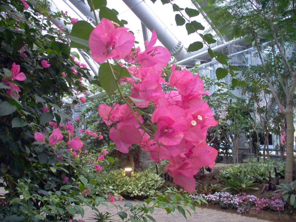 โฉโห๐๐ขึดึดเปห. tweet media