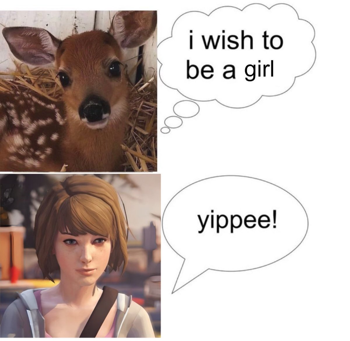 magda ♥︎ tweet media