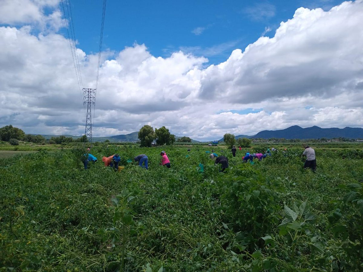 Centro de Estudios en Cooperación Internacional tweet media