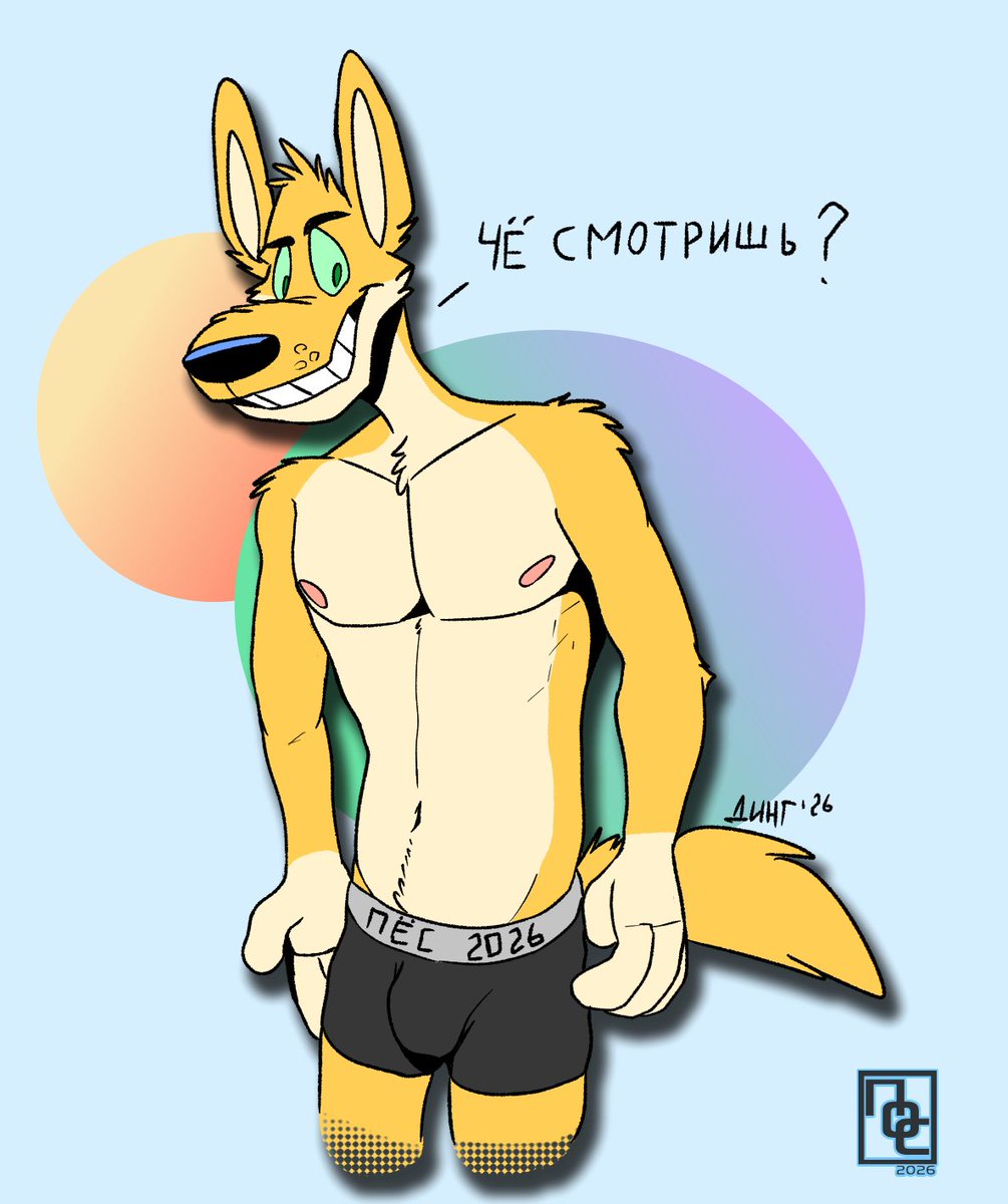 динго tweet media