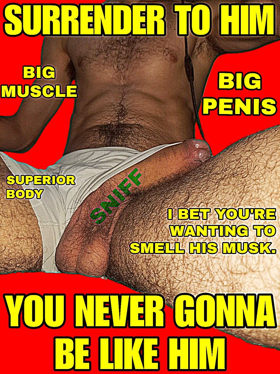 Soberano Alpha (20K) 👑🏀 tweet media