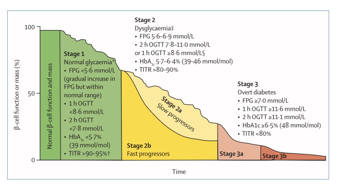 🧵 ¿Y si la “prediabetes” no fuera solo un estado previo… sino una etapa de la enfermedad?  🦠 

Mucho hablamos de “prediabetes”.
Pero tal vez el problema empieza con el nombre.

En realidad, la diabetes tipo 2 es un continuo de pérdida progresiva de función de la célula β, no