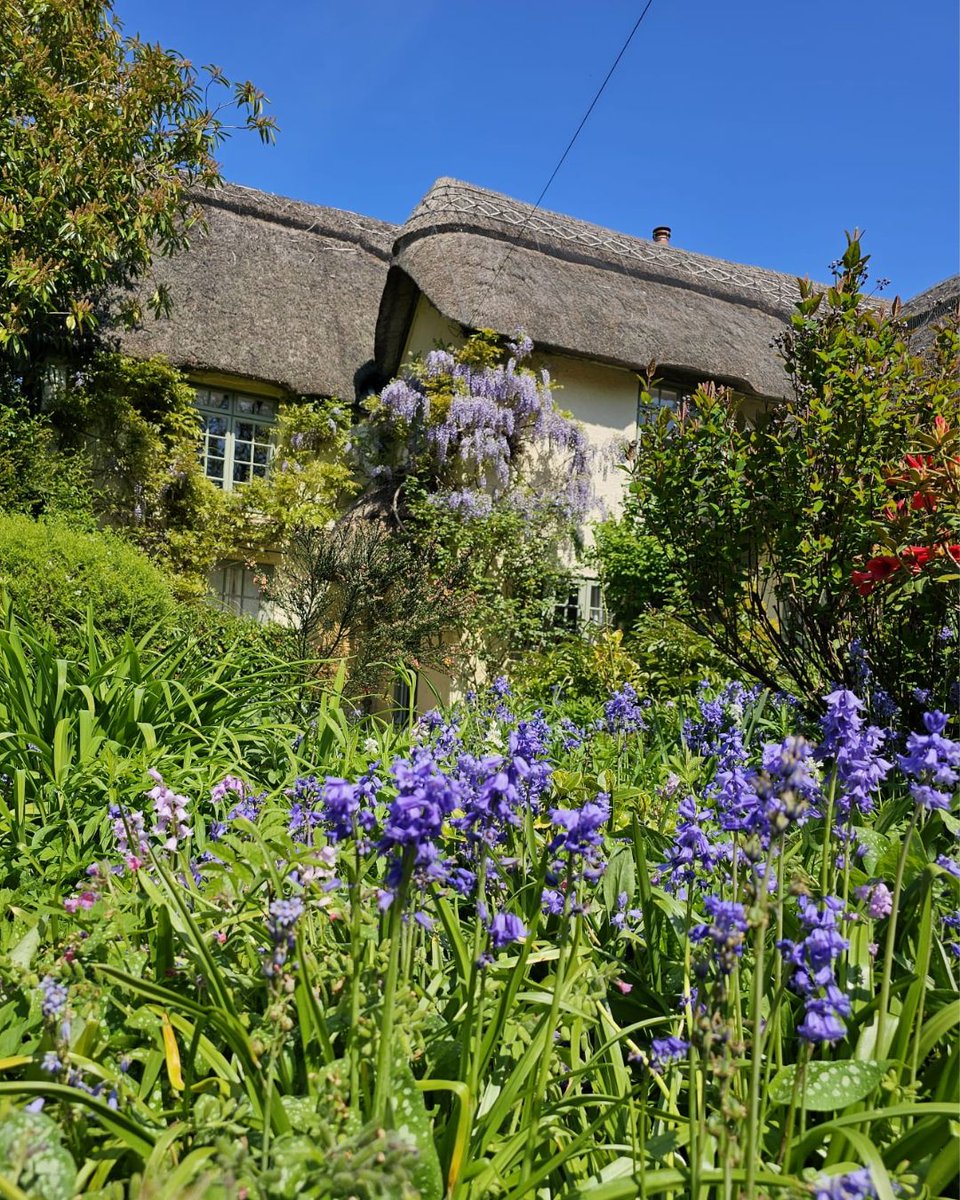 Short Stay Homes tweet media