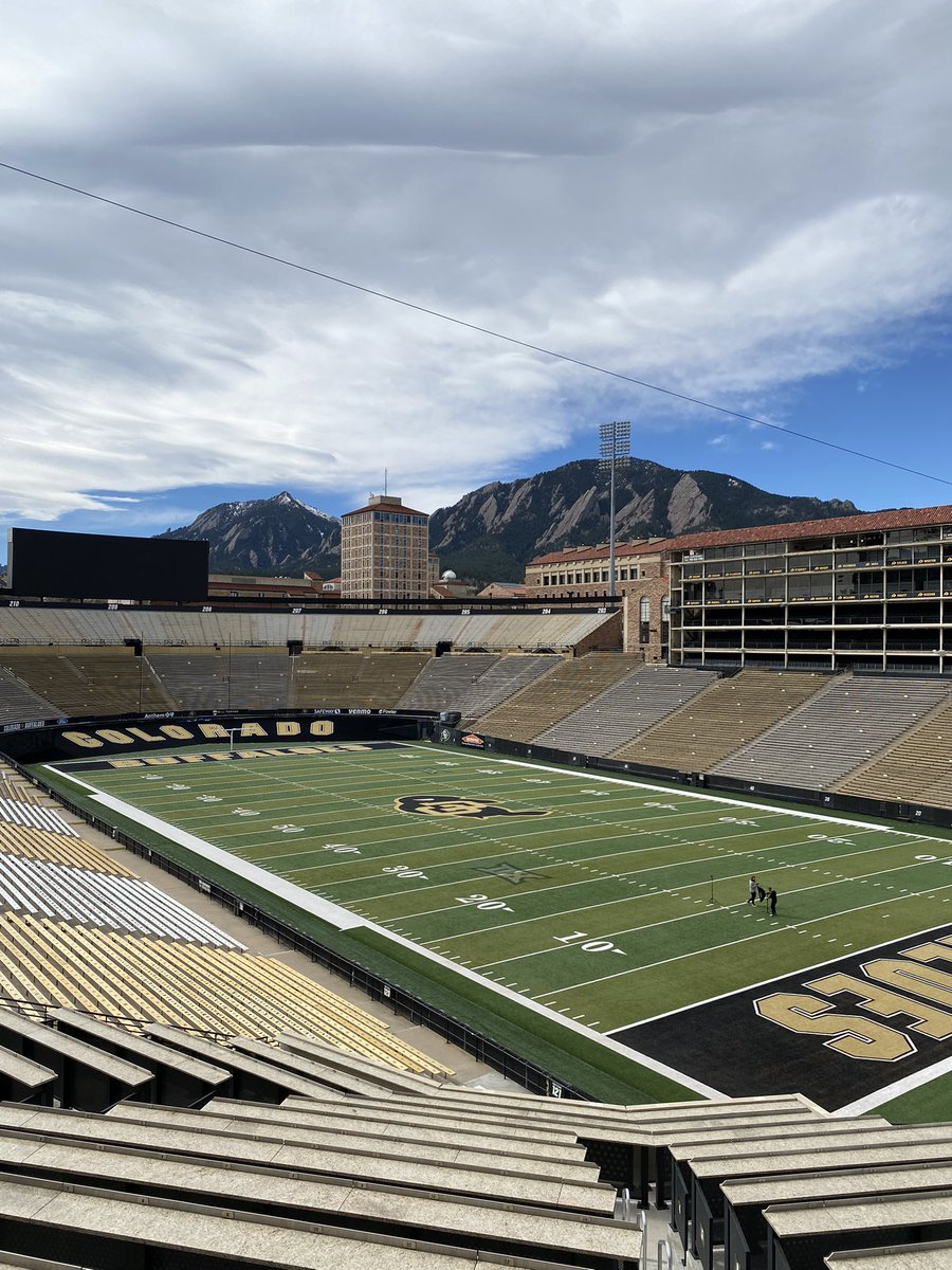 Scott Procter tweet media