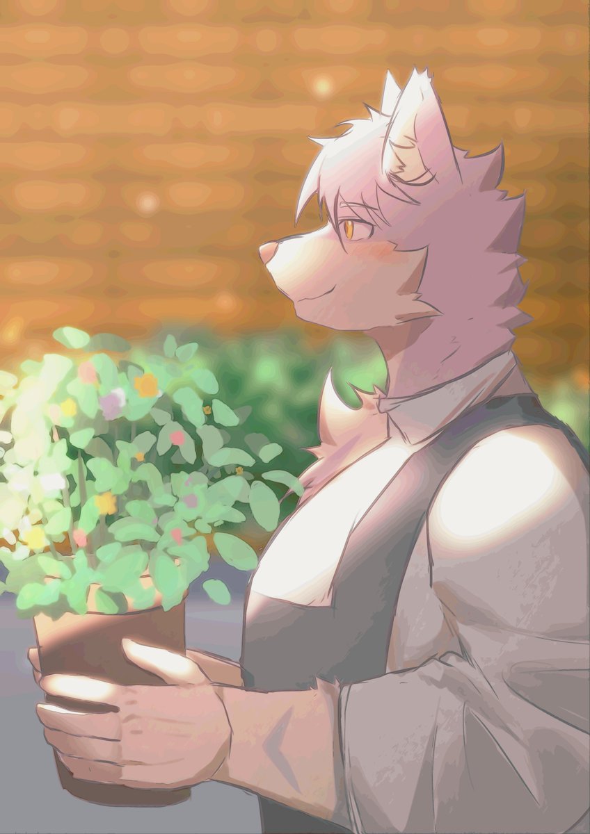 穹夜KyuyaCeltic【music commission open 】 tweet media