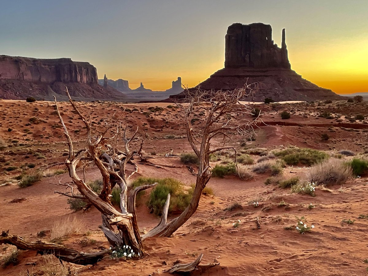 M.E. Proctor tweet media