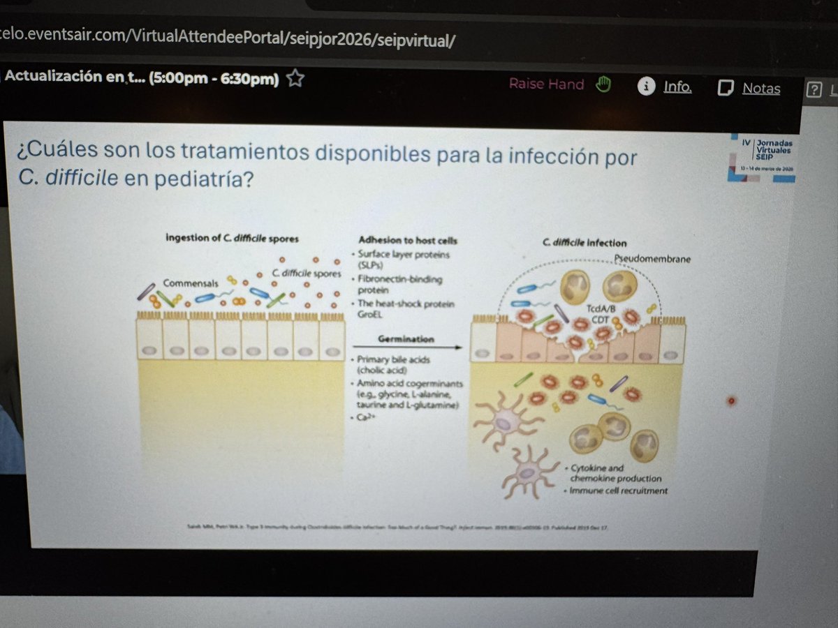 seipweb's tweet photo. 🦠 Tratamiento de C. difficile en pediatría:
metronidazol, vancomicina y fidaxomicina.
Fidaxomicina preserva mejor la microbiota y reduce la esporulación.
#SEIP2026 #CDifficile https://t.co/OmKyC8eSJ9