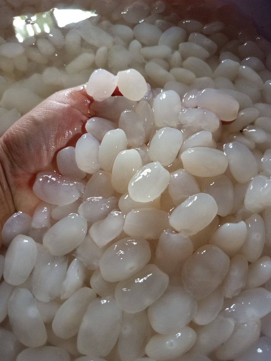 Shafitry tweet media