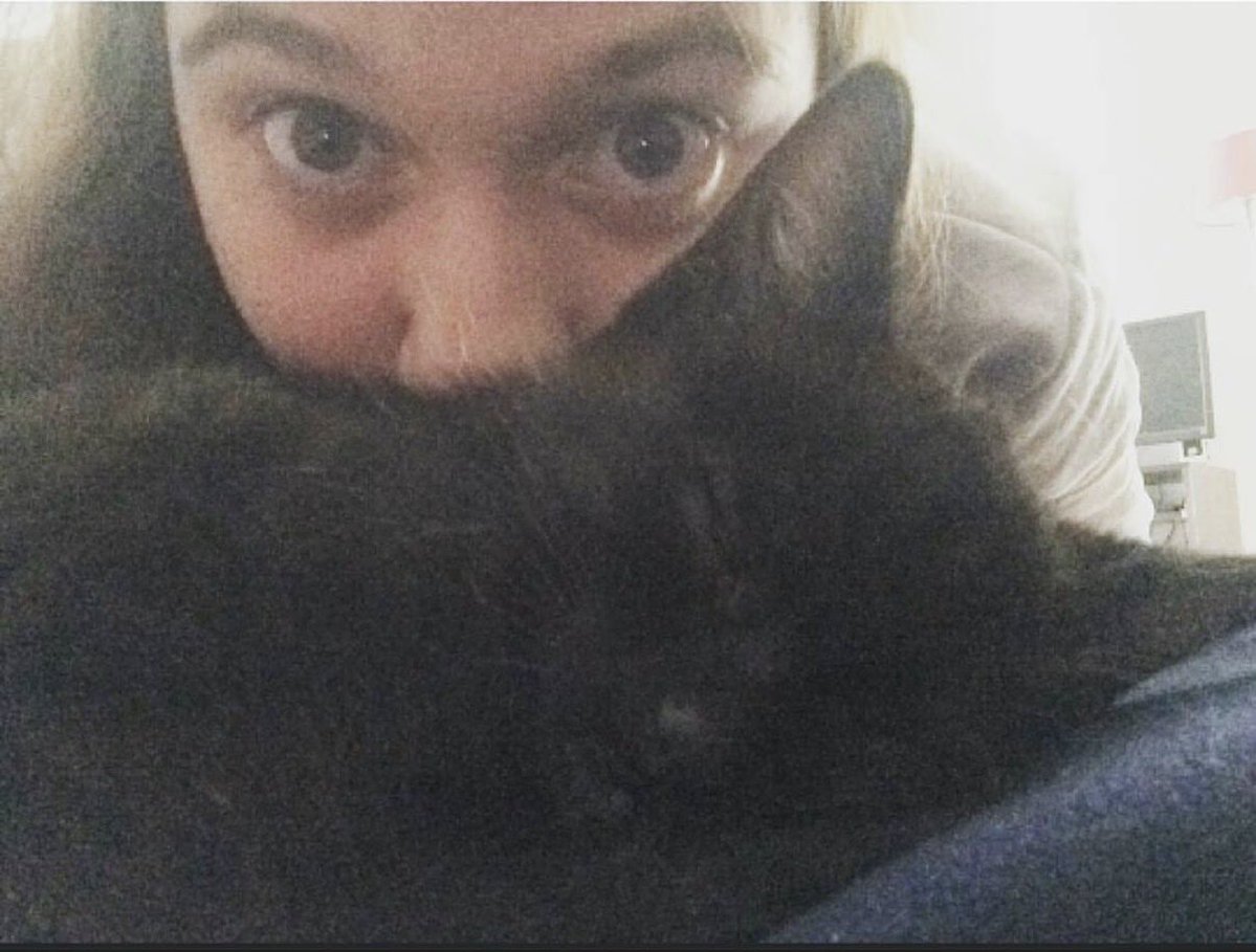 𝚊𝚕𝚎𝚡 ✧.* tweet media