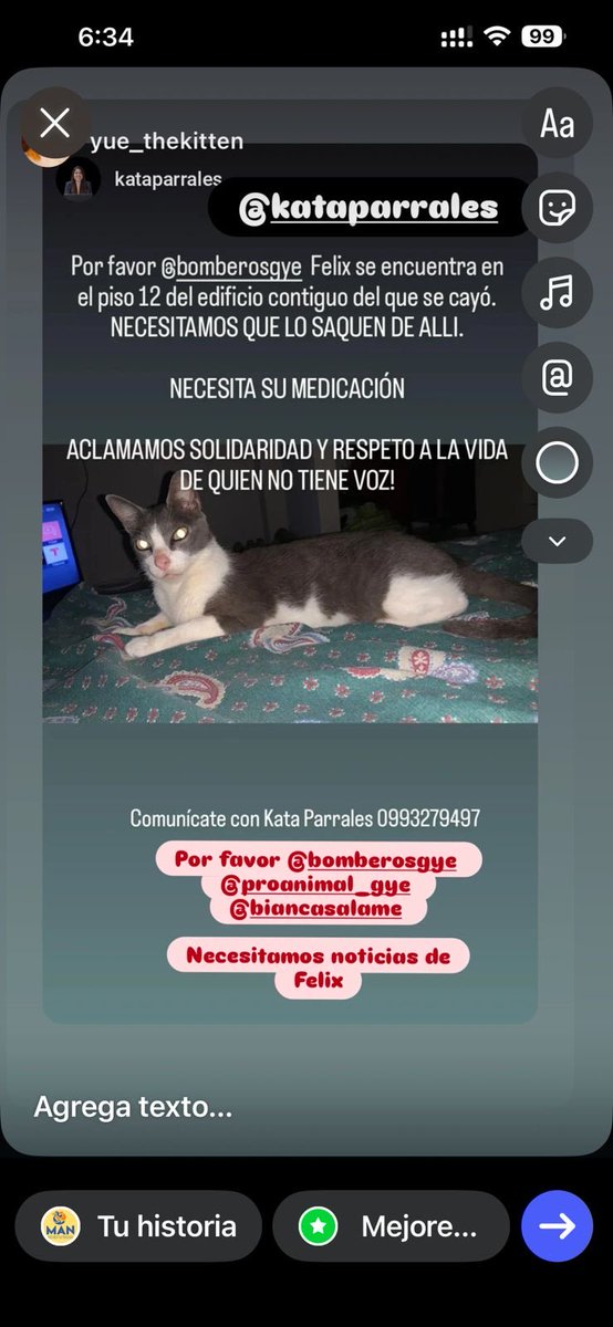 Belimoli tweet media