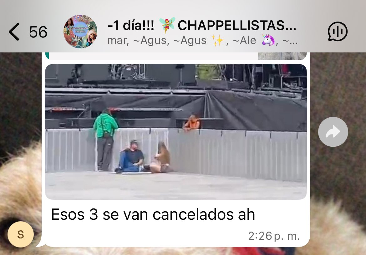 lua dipa tweet media