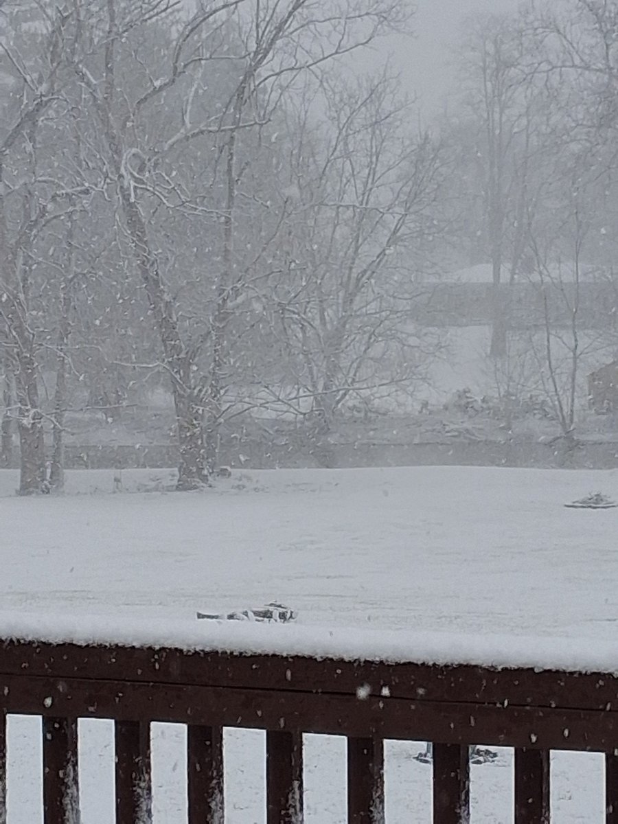 FLXweather-Dave tweet media