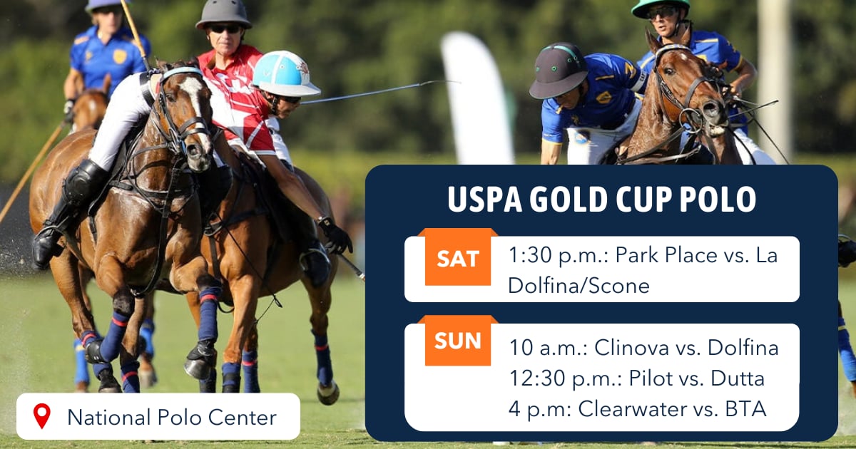 Palm Beach Film & TV tweet media