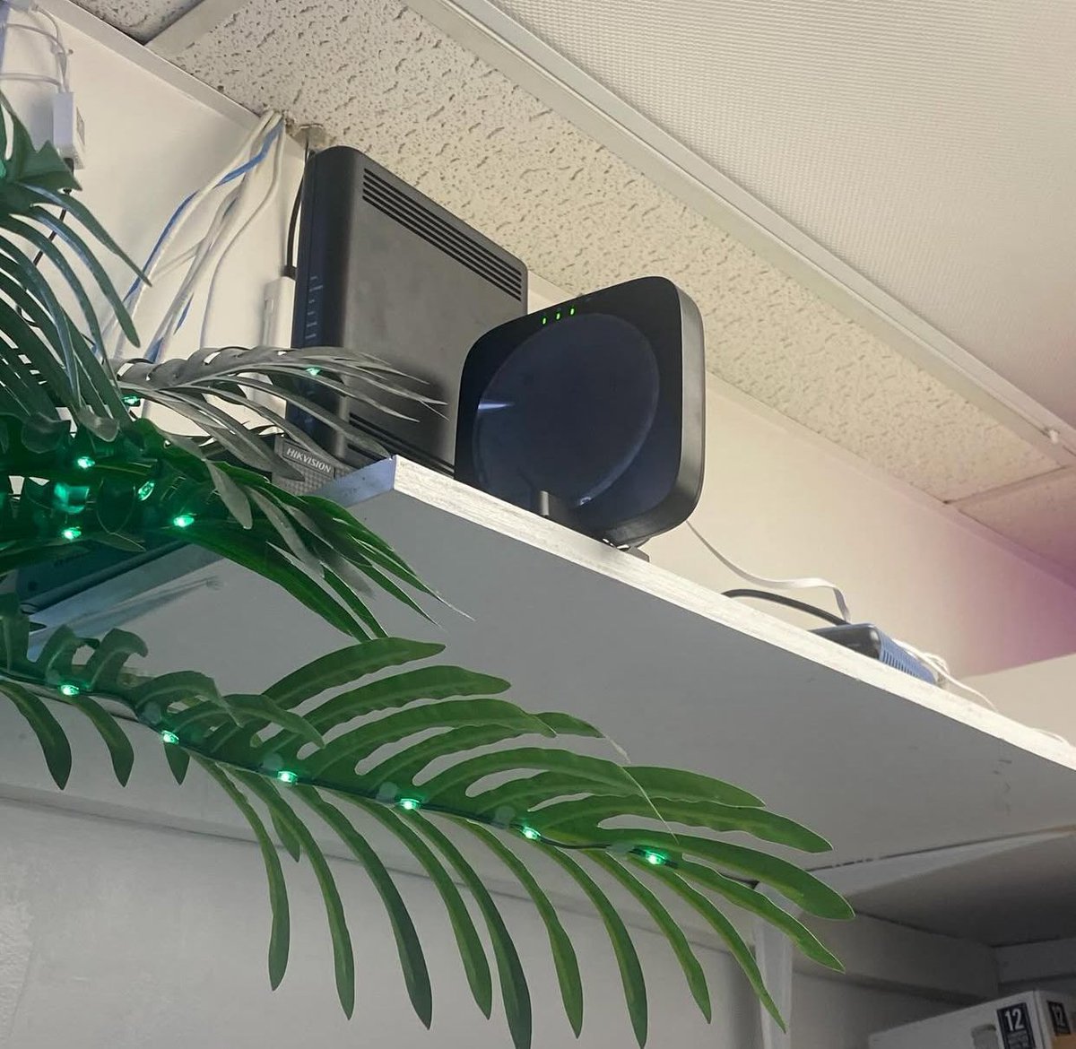 Decentralized tweet media