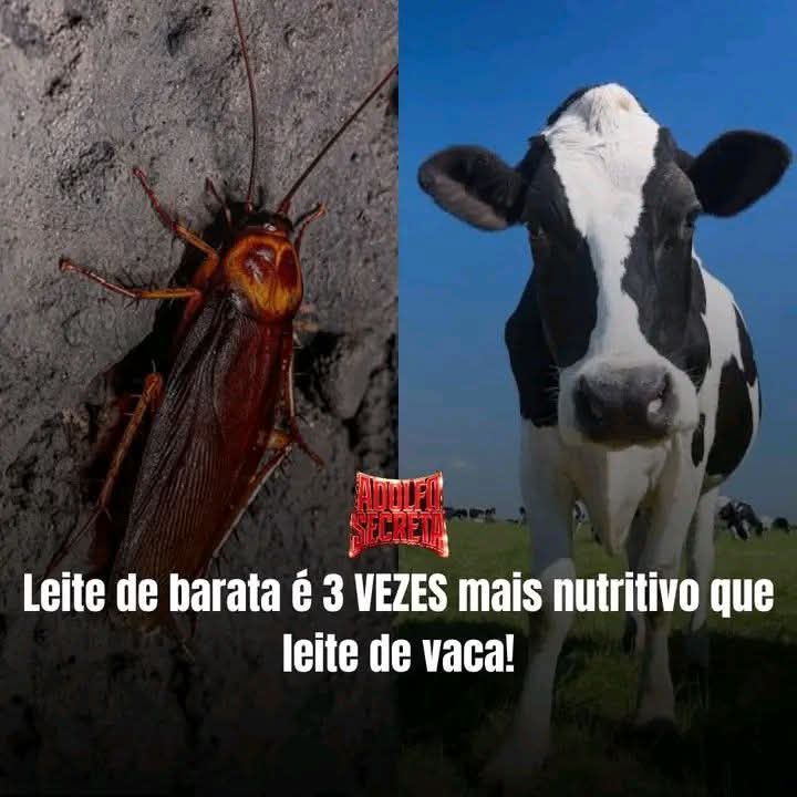 Senso Crítico ⚡ tweet media