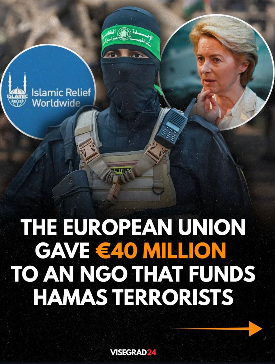 MEP Sebastian Tynkkynen tweet media