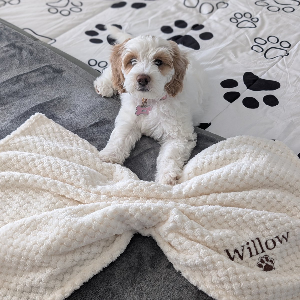 Happy Kraken X ✨♡ tweet media