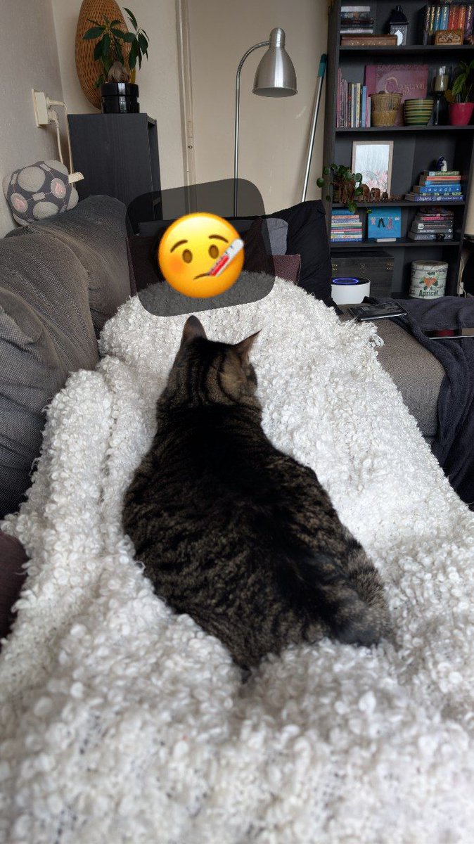 𝗥𝘂𝗯𝗲𝗻𝗦𝗮𝘂𝗿𝘂𝘀 tweet media