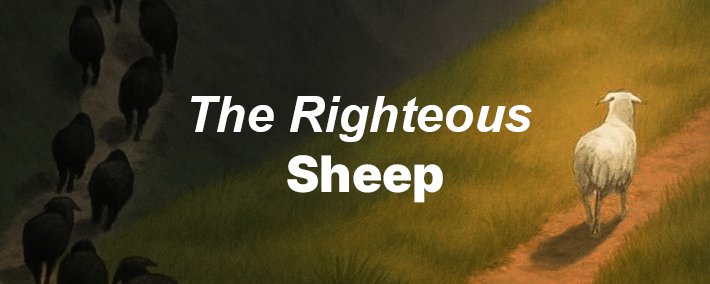 New ATH Coming 
$Sheep