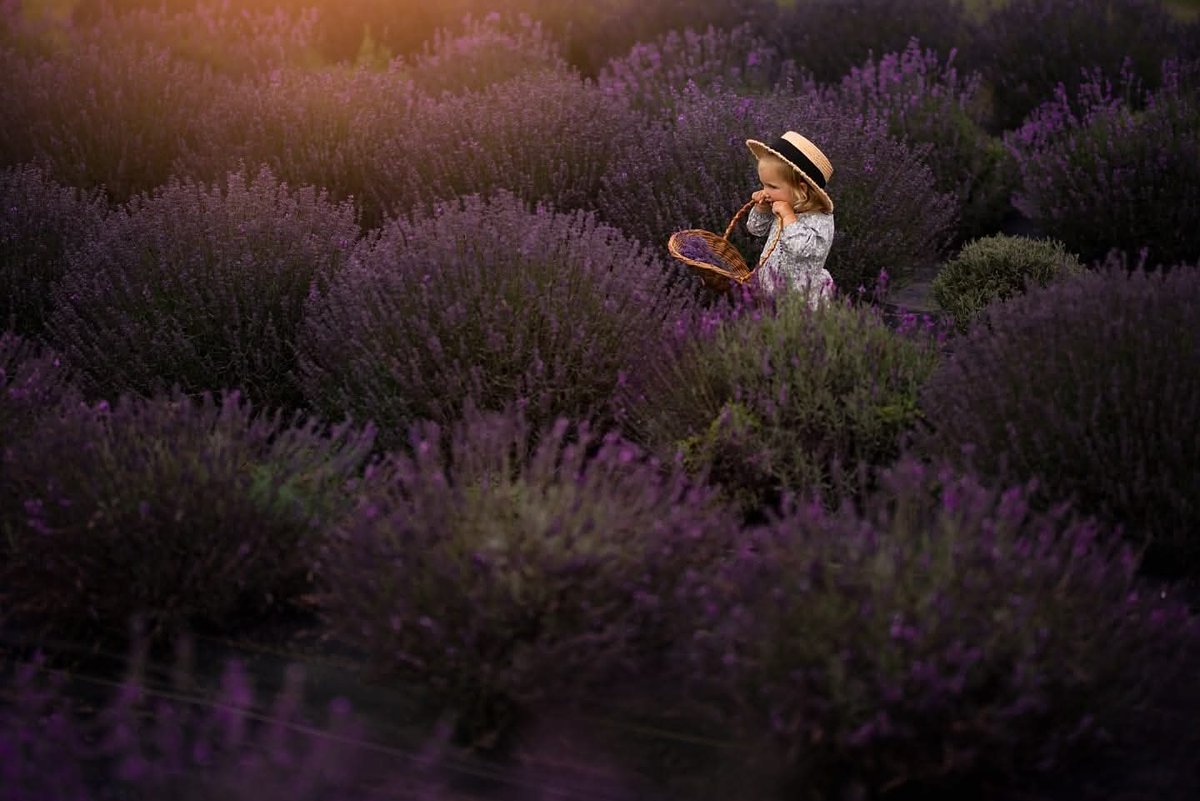 "ياربّ إجعلنا ممن كانَ سعيهِ موصولاً
بالخير مليئاً بالجبر، مُباركاً بالأثر "