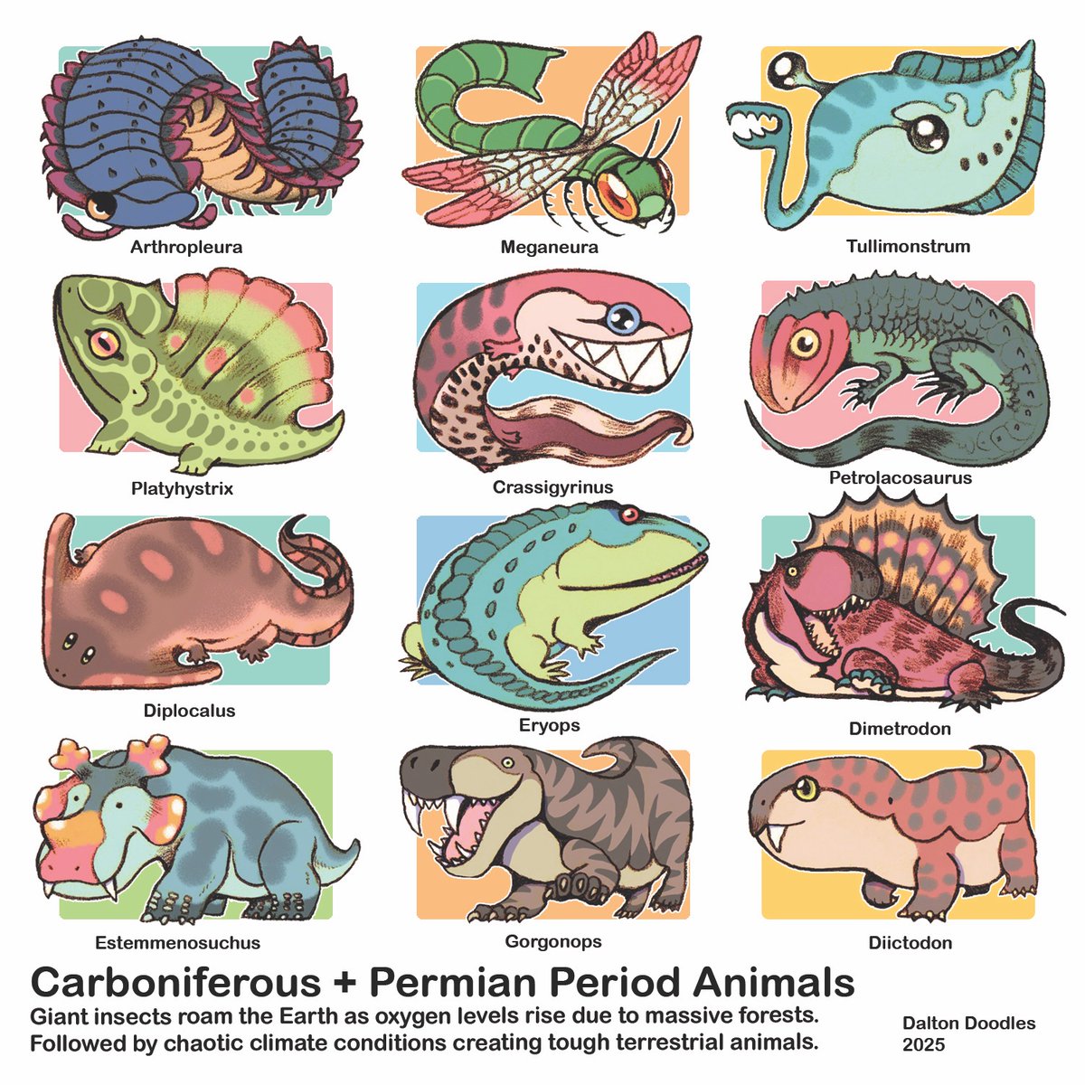 Dalton Stark tweet media