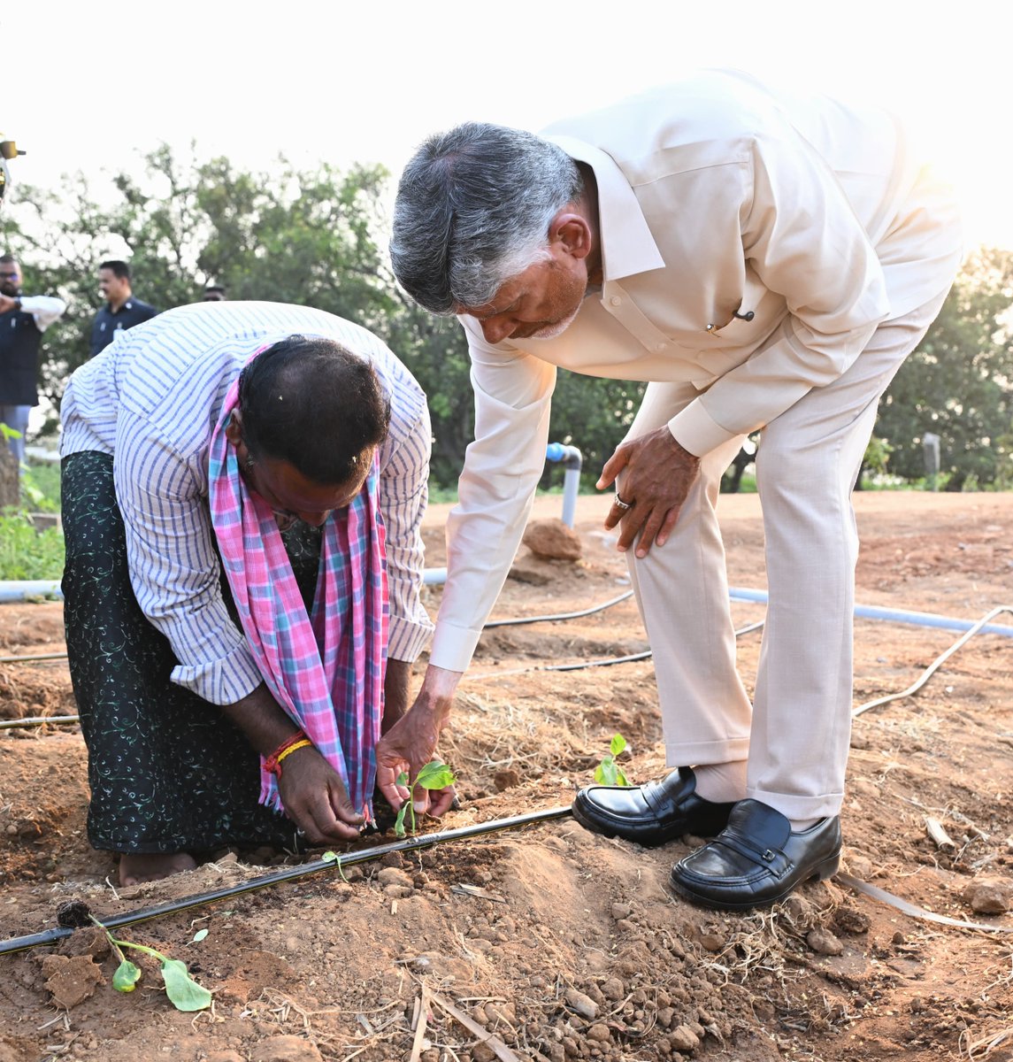 N Chandrababu Naidu tweet media