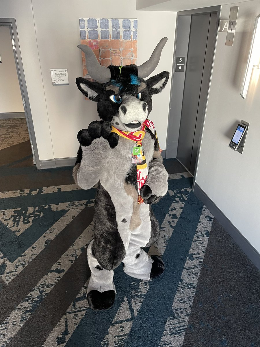 Flankbull.bsky tweet media