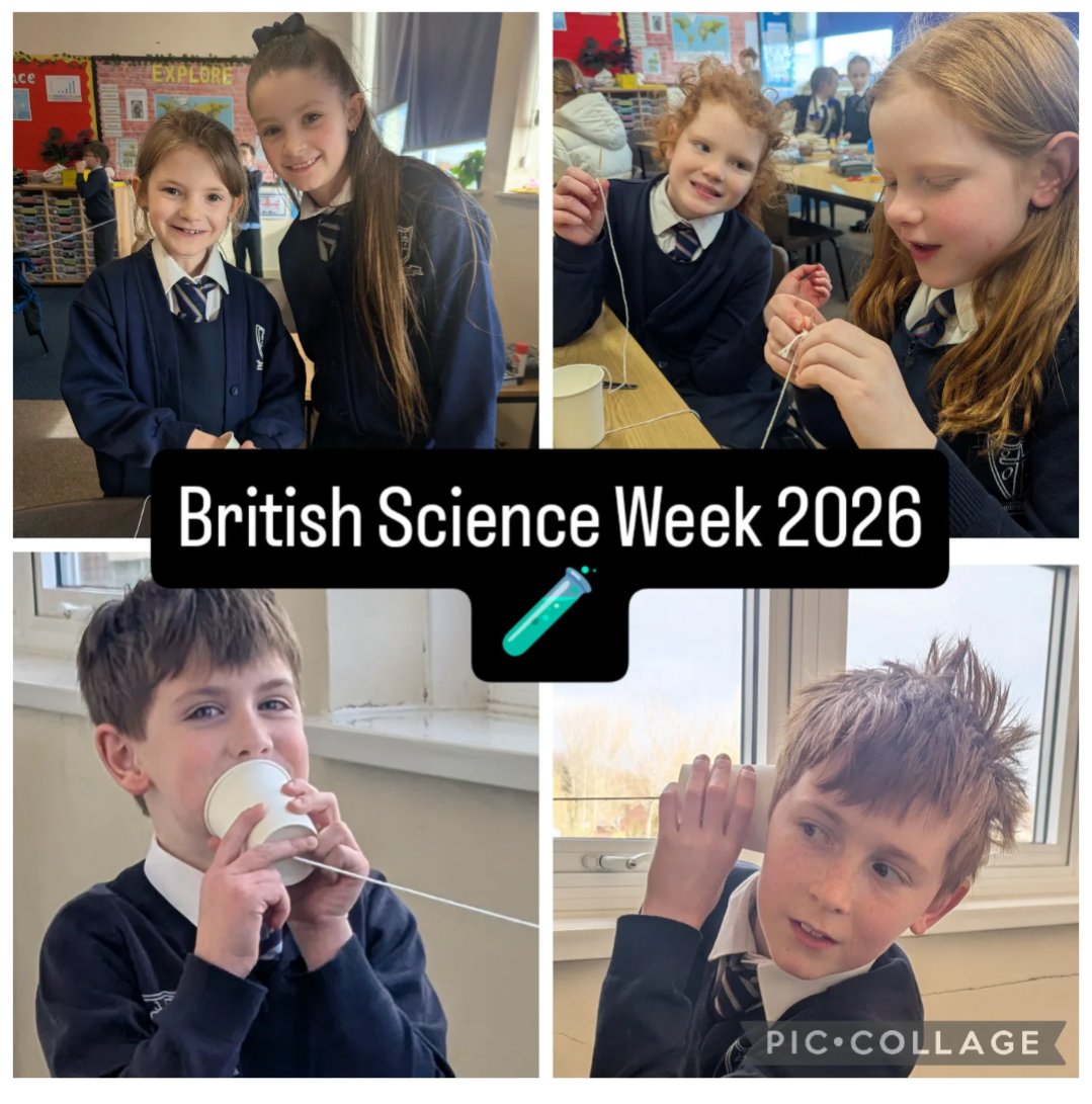 Mr Robinson (4M) tweet media