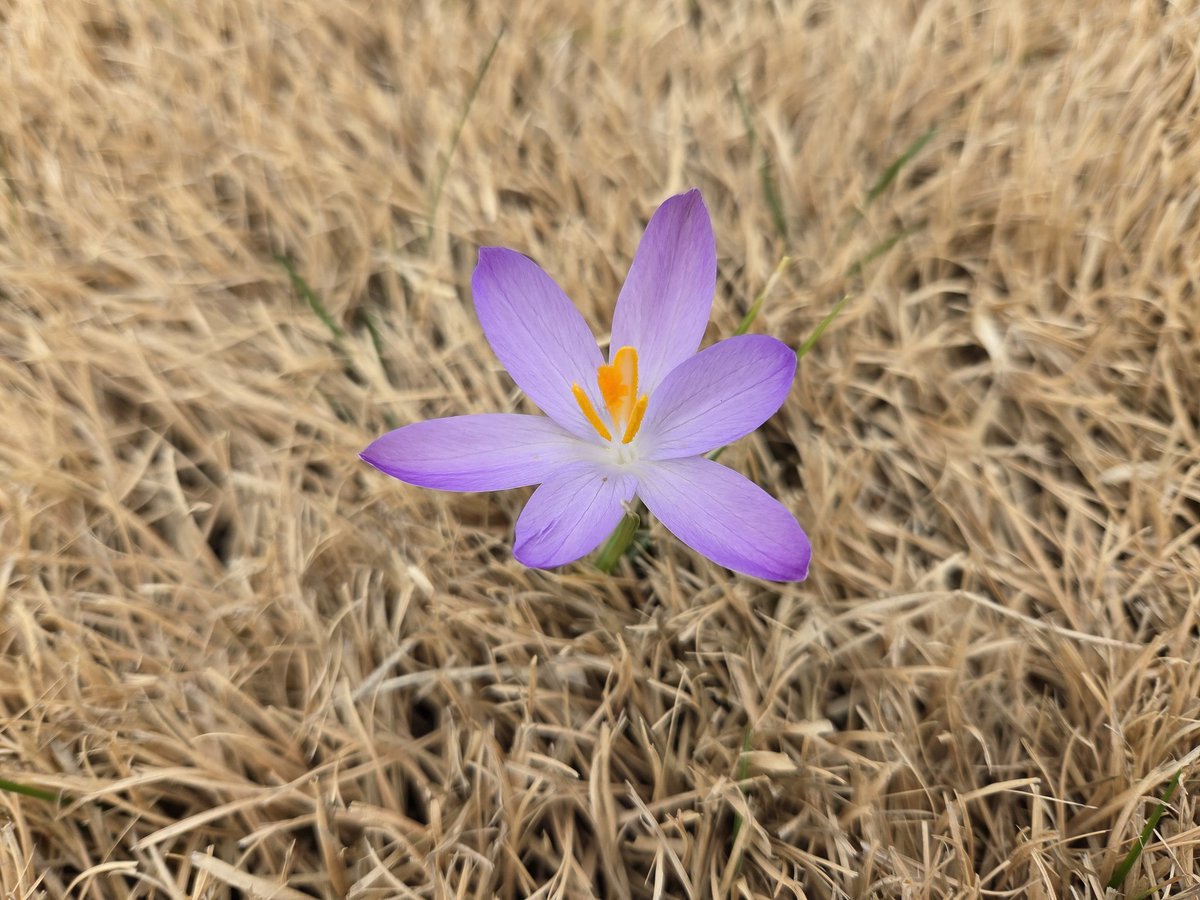 Melissa A. McLaughlin tweet media