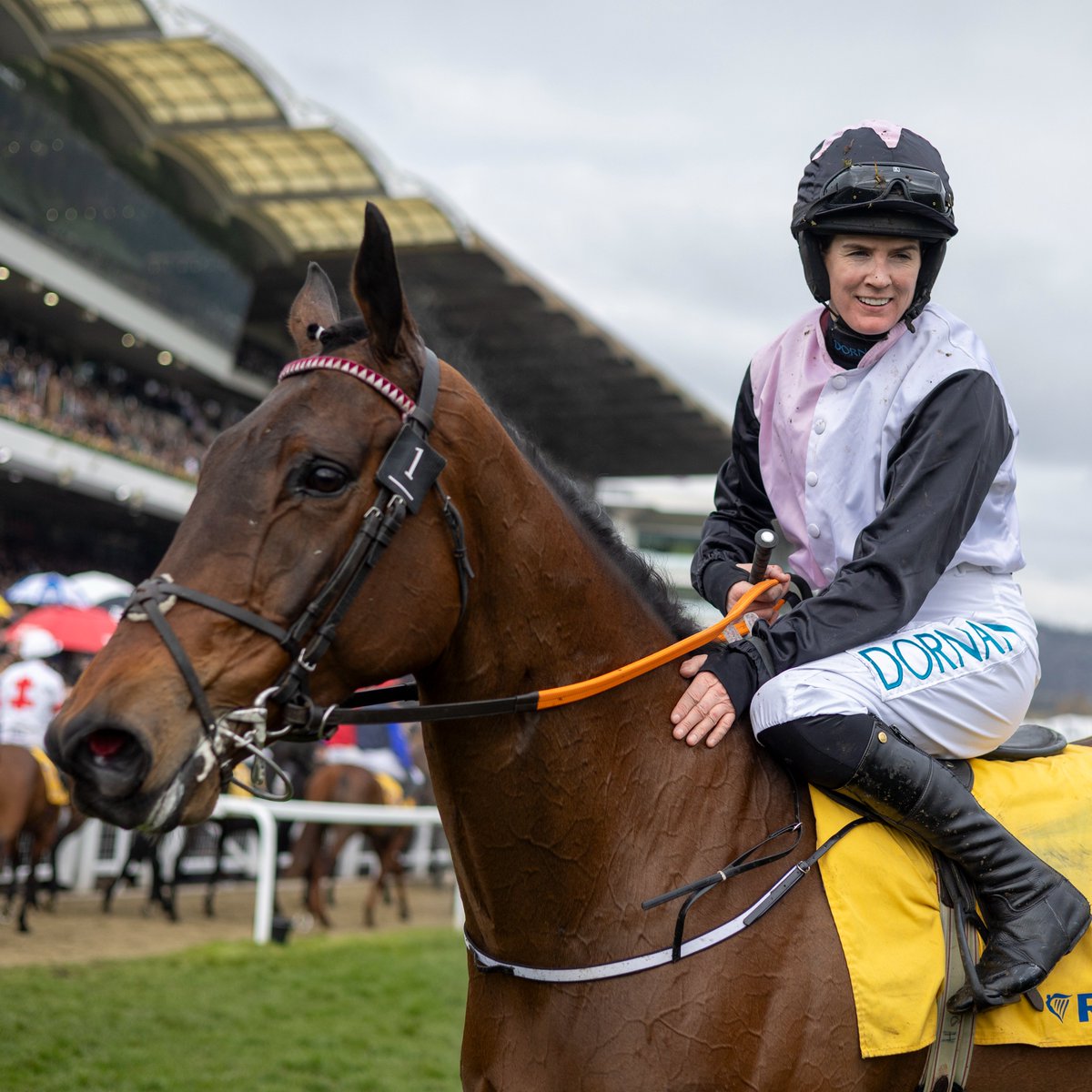 RacingPost's tweet photo. 🏆 2025 Mares' Novices' Hurdle
🏆 2026 Martin Pipe Handicap Hurdle

Air Of Entitlement is a dual-Cheltenham Festival winner 👏 https://t.co/l7IrgCKePW