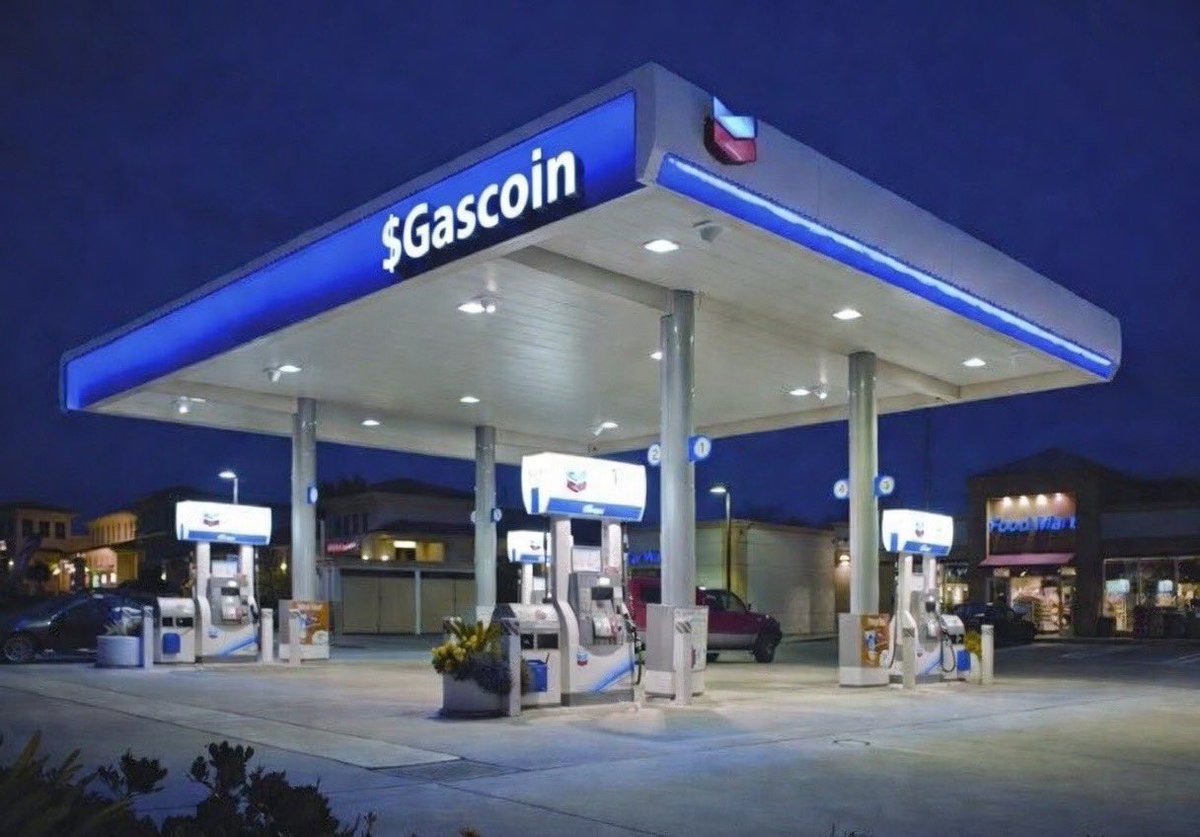 Trench Dog 1st division tweet media