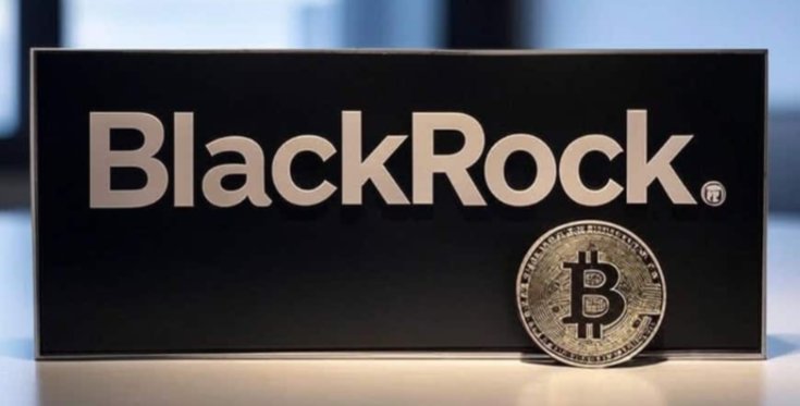 Financial Insider&Dividend guys tweet media