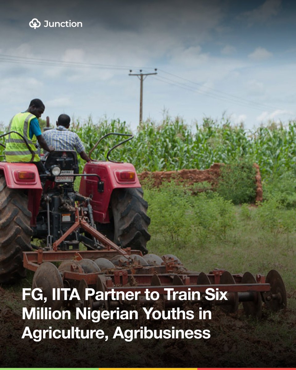 AgricJunction's tweet photo. Nigeria is targeting youth-led agricultural growth. 🌱👩‍🌾👨‍🌾

A new FG–IITA partnership aims to train 6 million youths in agribusiness, with access to land, training, and innovation hubs.

Read full story via link in bio. 🔗

#NigeriaAgriculture #YouthInAgriculture #Agribusiness https://t.co/SvgQXO7ezv