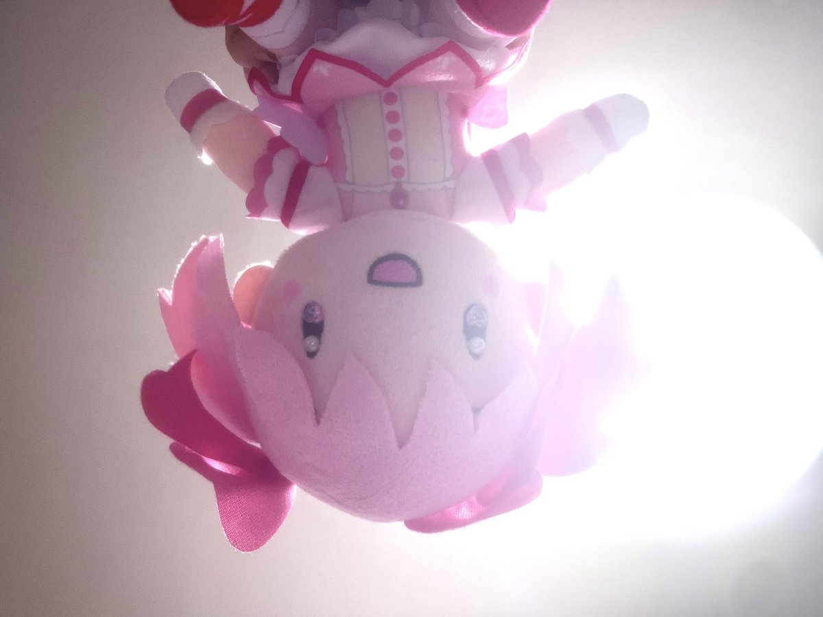 水分補給しろ❕❕ tweet media