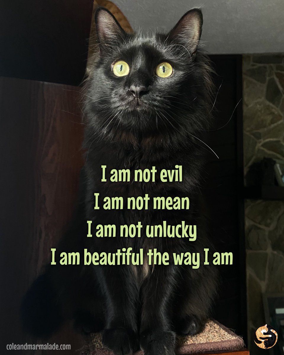 Cole & Marmalade tweet media