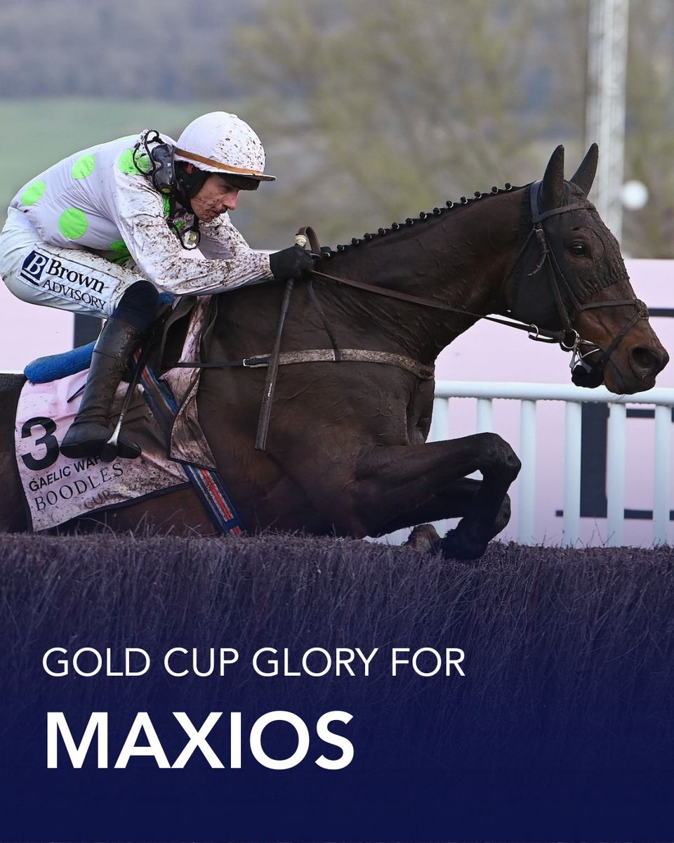 Coolmore National Hunt tweet media