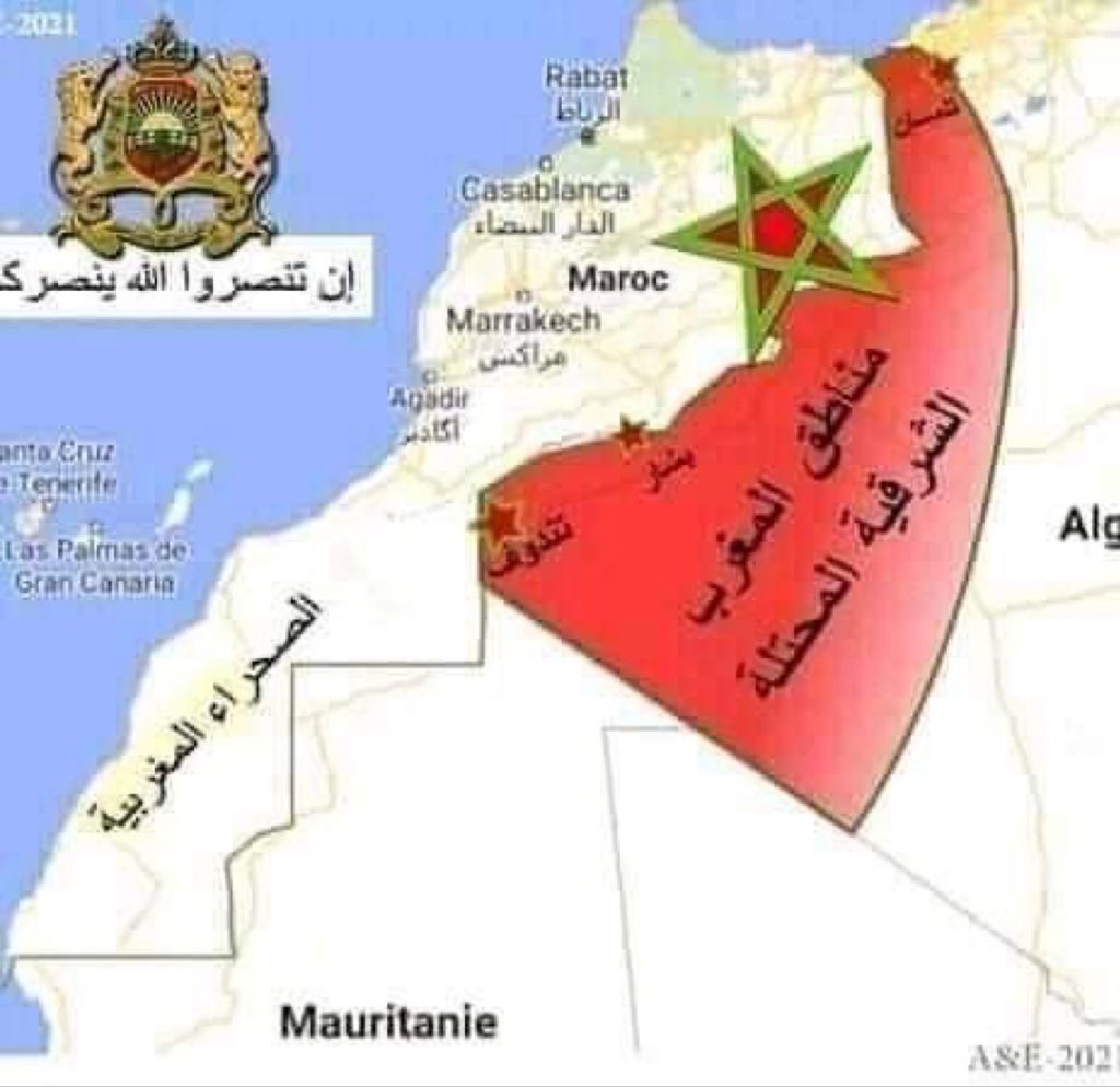 D7man 🇦🇪 tweet media