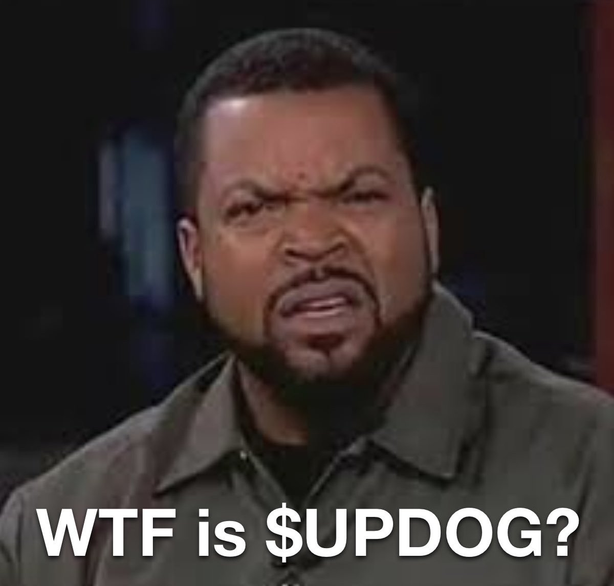 What’s Updog? tweet media