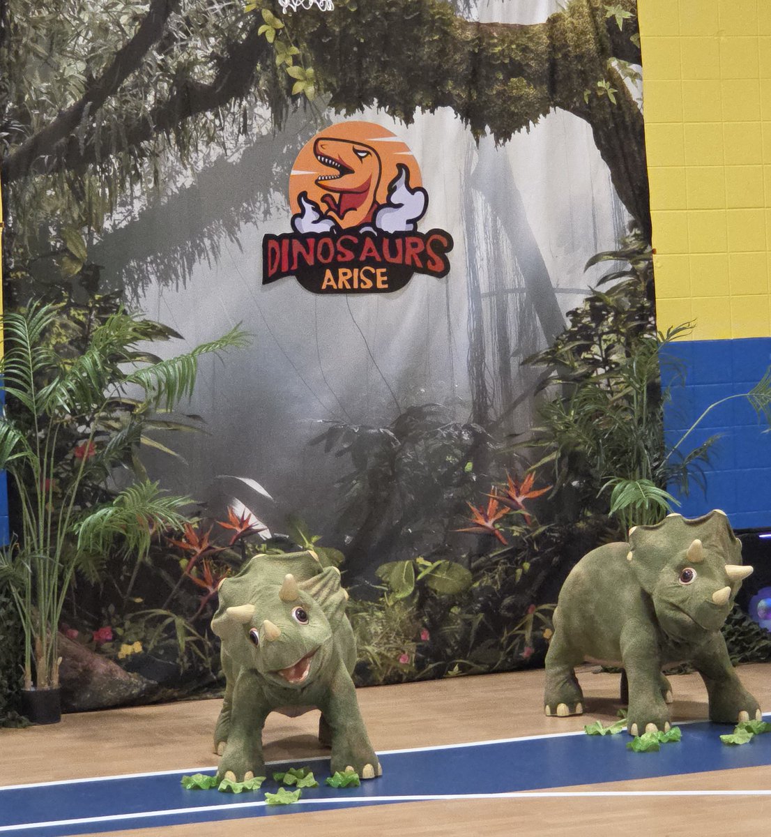 Trisha Costello tweet media